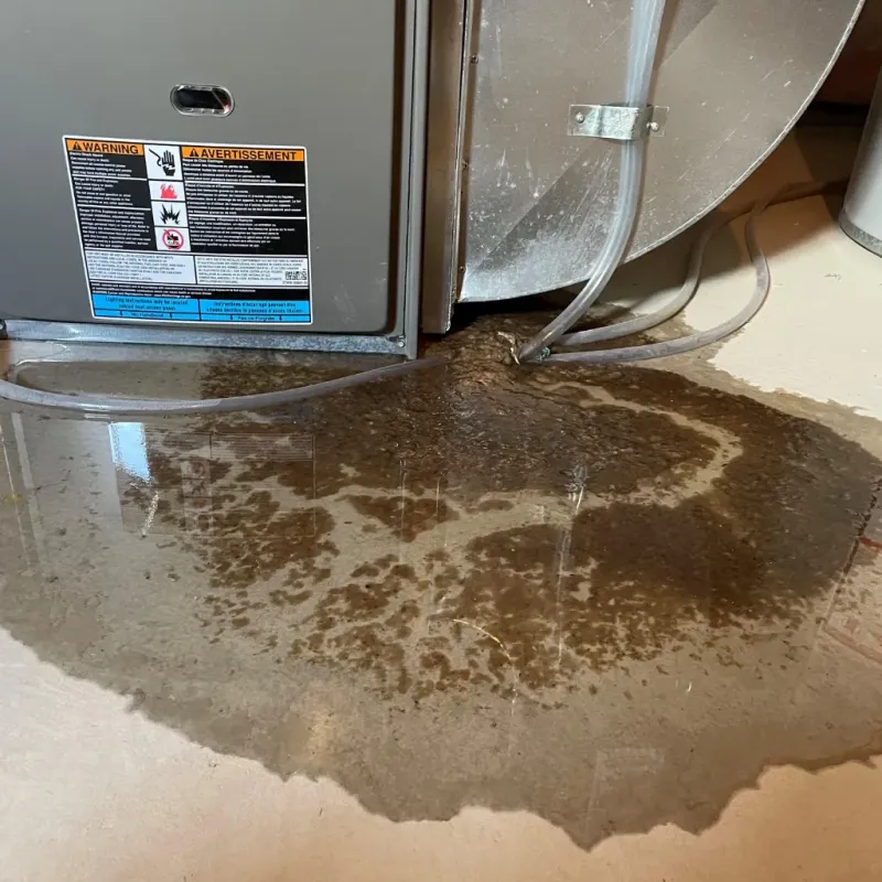 Appliance Leak Cleanup in Laurel Hill, NC